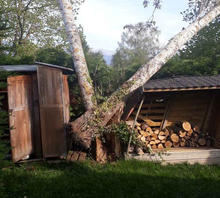 Abattage d’urgence d’un arbre déraciné à St Genis Pouilly dans le département de L’ain