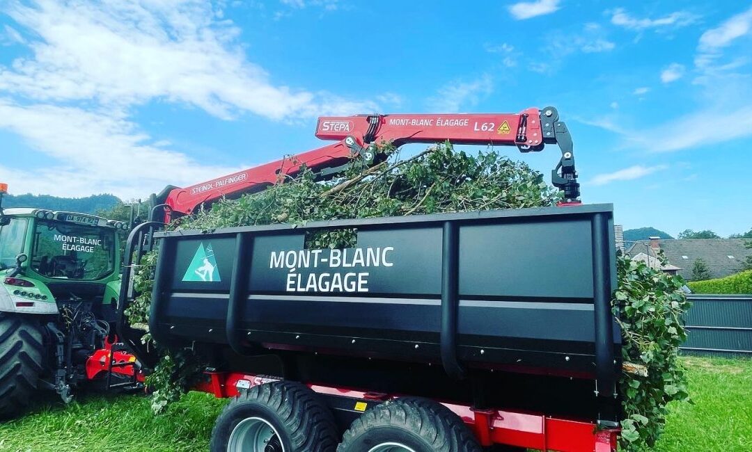 Transports de bois et évacuation de vos déchets verts