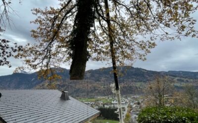 Chantiers de démontage à la PPM cette semaine sur les communes de Taninges, Samoëns et Morillon.