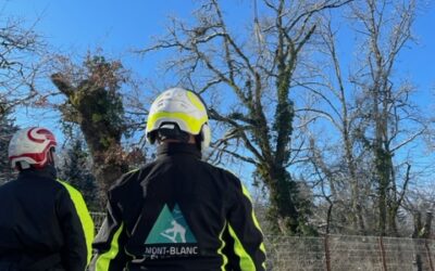Chantier d’élagage à Annecy.
